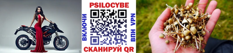 Псилоцибиновые грибы Cubensis  Светогорск 